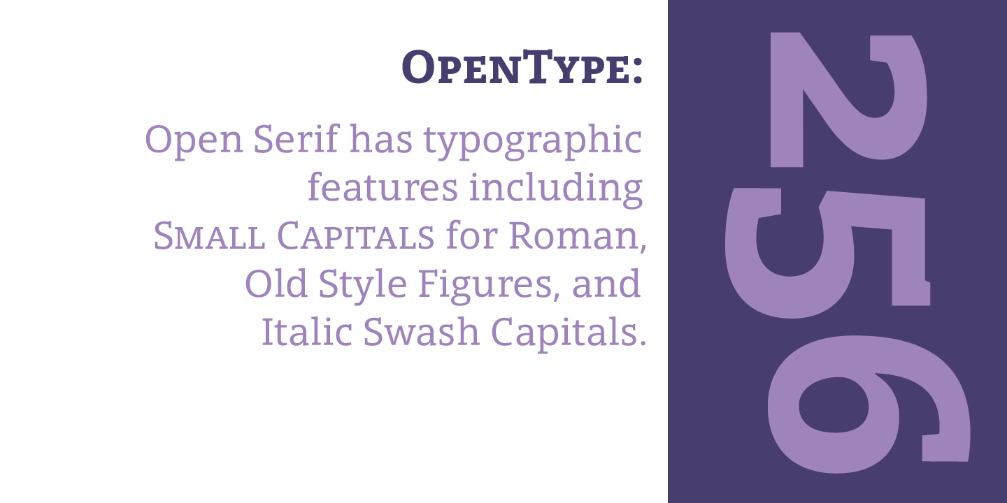 Beispiel einer Open Serif Semibold Italic-Schriftart